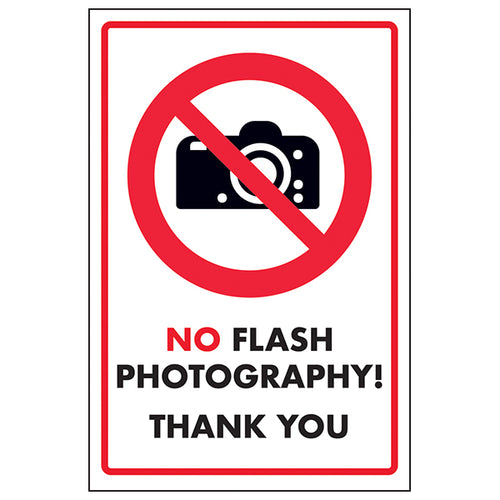 No Flash Photography Safety Sign Protects Artwork Museum